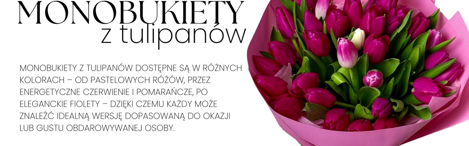 Без названия (1024 x 869 пикс.) (1920 x 800 пикс.) (2)